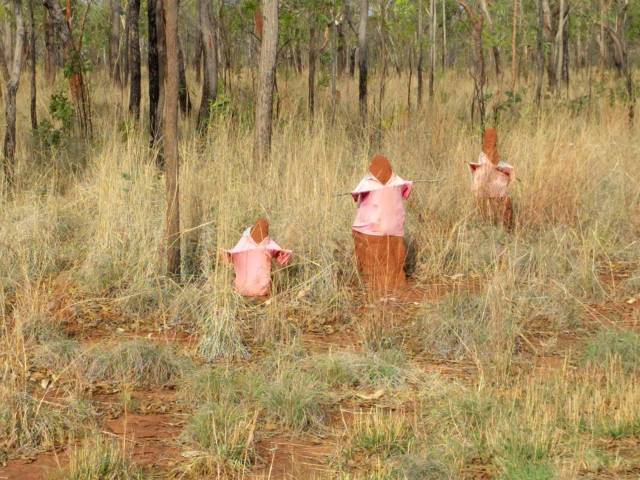 2018 Oct termite people outback